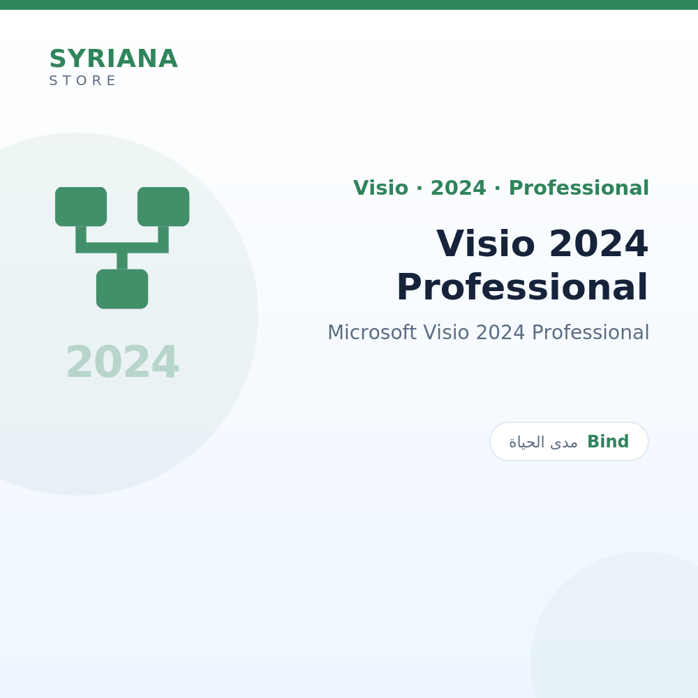 مايكروسوفت Visio 2024 Professional - Microsoft - نسخة مدى الحياة متاحة — لا تجديد ولا اشتراك