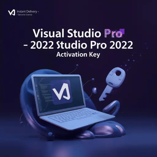 فيجوال ستوديو برو 2022