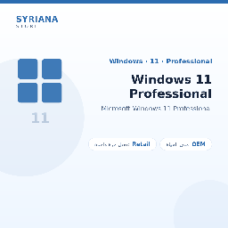 مايكروسوفت Windows 11 Professional